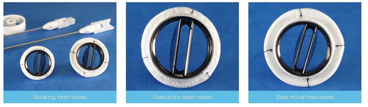 CardiaMed Valve – Aston-Med
